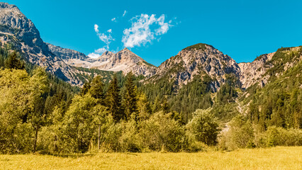 Beautiful alpine summer view at the famous Gern Alm, Achensee, Tyrol, Austria