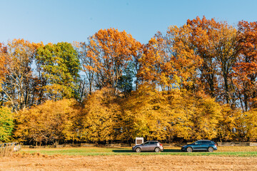autumn in the park