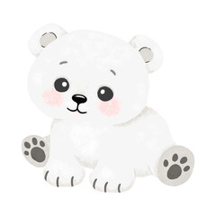 Cute little polar bear sits on a transparent background