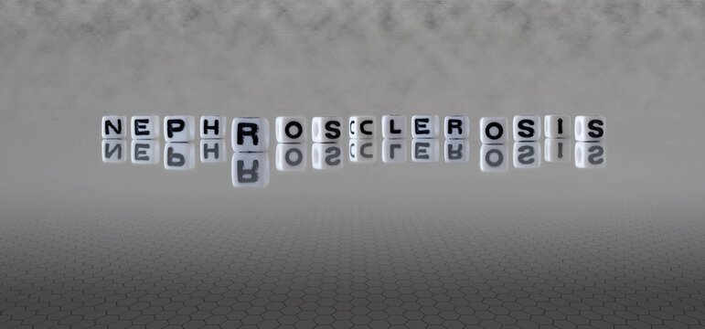 nephrosclerosis word or concept represented by black and white letter cubes on a grey horizon background stretching to infinity