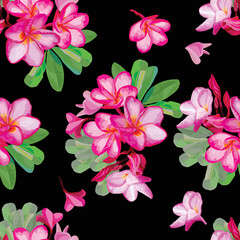 Pink pansy plumeria seamless pattern