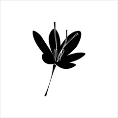 Condiment crocus ingredient saffron icon