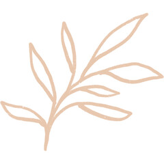 Simple linear plant flower leaf. Hand drawn botanical illustrations