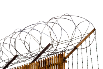 Fence with barbed wire