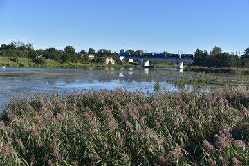 Nogat, nurt, woda, jezior, rzeka, krajobraz, niebo, lato, zieleń, park, blękit, wieś,  © Albin Marciniak