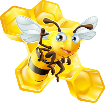 Cute Cartoon Bee and Honeycomb