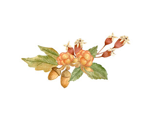 Autumn flowers. Watercolor composition of autumn flowers, oak and rosehip. Design for postcards and stickers. Isolated on white background.