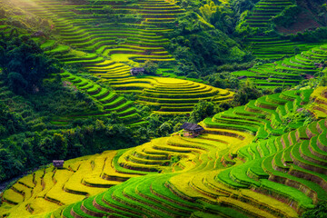 Rice terraces in Mu cang chai, Vietnam.