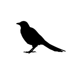 Bird in silhouette stock illustration
