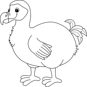 recommend clip art: Dodo Animal Isolated Coloring Page for Kids