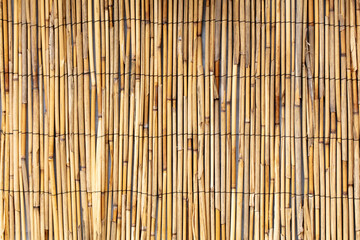 Reed fence wall as abstract background.