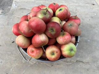 Close up of delicious Discovery apples in a metal colander, the ripe tasty healthy crisp organic fruit in red and green harvest from organic country garden orchard in lSummer on stone patio flat lay