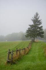 Morning mist over a field at harvest time in the Canadian countryside in Quebec