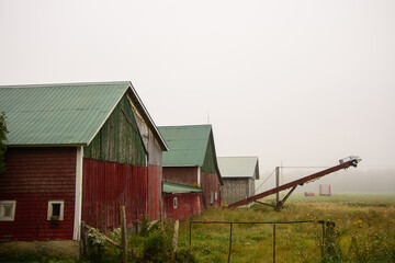 Fototapeta na wymiar Morning mist over a farm at harvest time in the Canadian countryside in Quebec