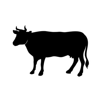 Cow silhouette icon. Cow with horns and black udder. For dairy products, contains milk or agriculture