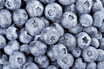 Fresh ripe blueberries - vaccinium myrtillus, close-up, as a background