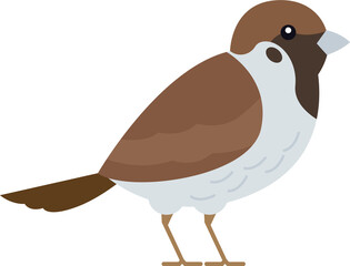Sparrow Bird icon