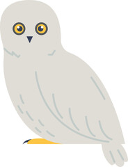 Owl Arctic Wildlife Animal