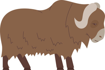 Bull Arctic Wildlife Animal