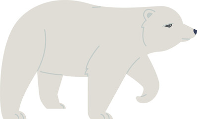 White bear Arctic Wildlife Animal