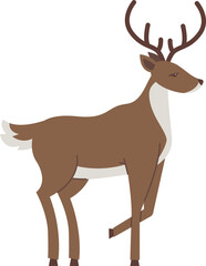 Deer Arctic Wildlife Animal