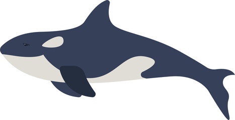 Killer whale Arctic Wildlife Animal