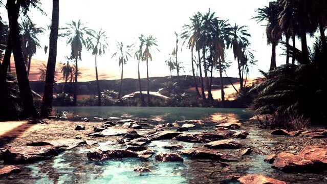 Desert oasis pond with palm trees and plants