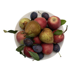 plate with fresh fruits isolated on white, autumn still life