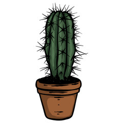 Beautiful cactus in pot - vector hand drawn