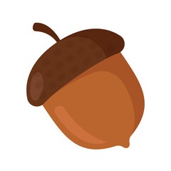 acorn flat vector illustration oaknut logo icon clipart