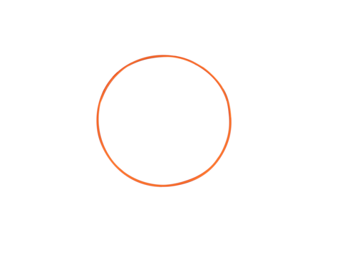 Fiber Optic Patch Cord on isolated white background