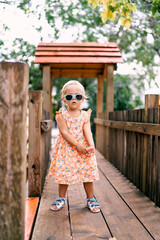 Little girl in sunglasses posing on a wooden bridge in the playground. High quality photo