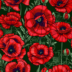 scarlet red poppies seamless vector pattern, flowers, leaves and stemspoppies seamless vector pattern