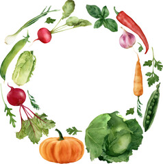 Hand-drawn watercolor organic food wreath with vegetables: orange pumpkin, carrot, radish, basil, parsley, cabbage, onion, beet, chili pepper, garlic. Harvest frame template. Card, invitation design
