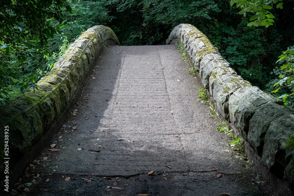 Wall mural the view over a humpbacked bridge in jesmond dene, newcastle upon tyne, uk