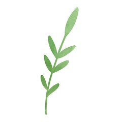 Fototapeta premium leaf