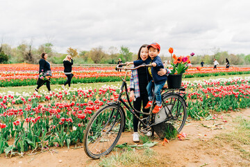 bicycle in the park