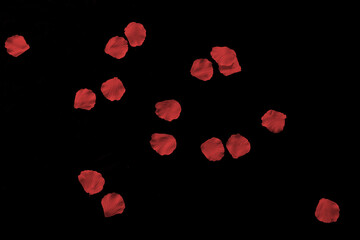 Blütenblätter auf schwarz - negativ multiplizieren