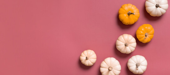 Banner with group of decorative pumpkins top view on pink background. Copy space. Autumn flat lay