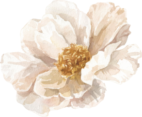 Autumn Garden Boho Neutral Pastel Dry Floral Watercolor Wedding Decor Transparent Background