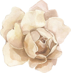 Autumn Garden Boho Neutral Pastel Dry Floral Watercolor Wedding Decor Transparent Background