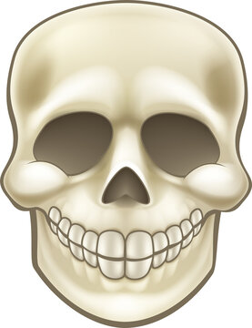 Cartoon Skull Illustration