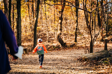 child walking in autumn forest