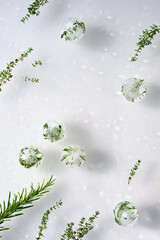 Wet off white water background with melting balls of ice with frozen herbs. Rosemary, oregano and thyme plants. Frozen plants inside pieces of ice. Direct natural sunlight with shadows.