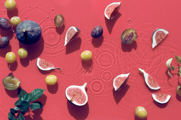 Water background with fresh ripe fig fruits and slices swimming in water. Natural direct sunlight...