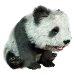 3D Rendering Panda Bear on White © photosvac