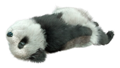 3D Rendering Panda Bear on White