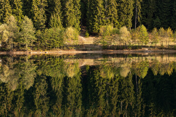 Autumn Colors in the Savsat Karagol Lake, Savsat Artvin, Turkey