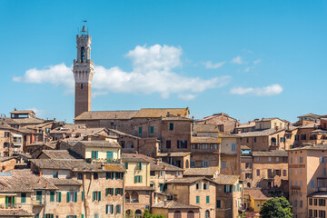 Fototapeta na wymiar Cityscape of Siena historic center with the Town hall in Tuscany, Italy