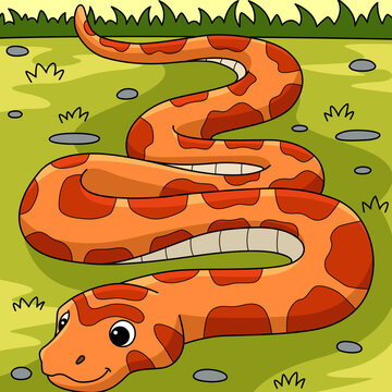 Corn Snake Animal Colored Cartoon Illustration